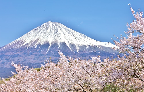 富士山